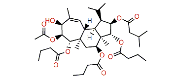 Gagunin A